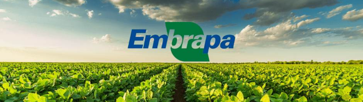 Concurso-Embrapa-2025-vagas-salario-inscricao